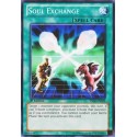 Soul Exchange - SKE-033