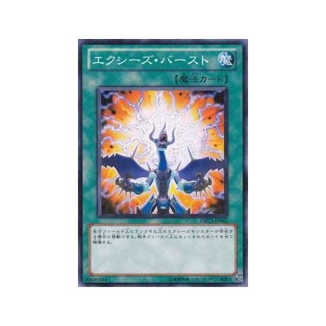 Xyz Burst