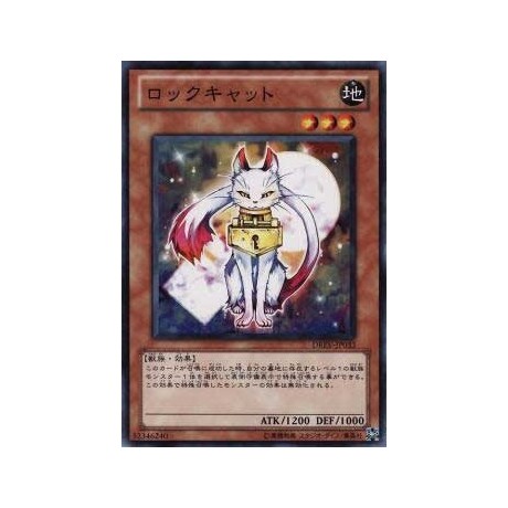 Lock Cat - DREV-JP033