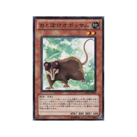 Playful Possum - DREV-JP007