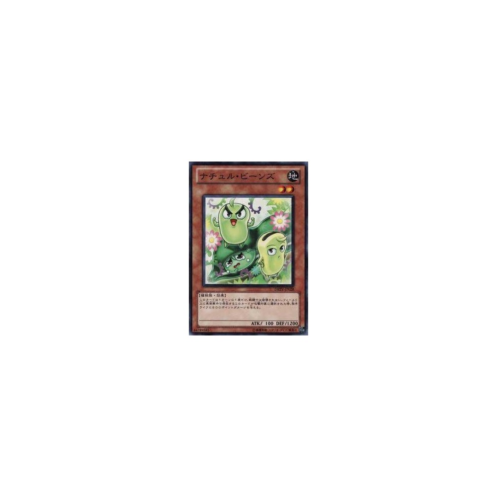 Naturia Beans - DREV-JP028 - Nova Naturia Beans - DREV-JP028 - Nova