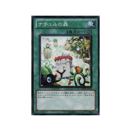 Naturia Forest - DREV-JP051