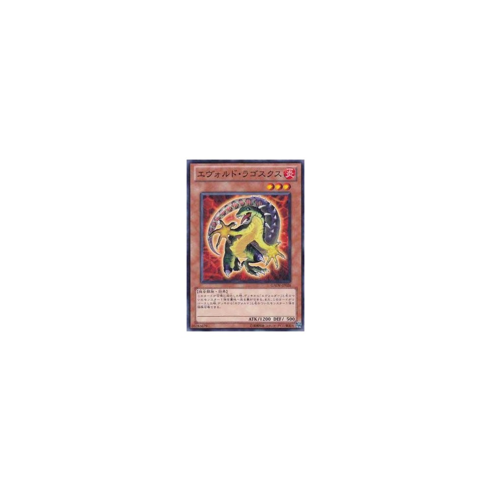 Evoltile Lagosucho - GAOV-JP026 Evoltile Lagosucho - GAOV-JP026