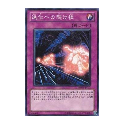 Evolutionary Bridge - PHSW-JP071 - Nova