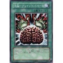 Brain Control - GS02-JP012