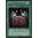 Brain Control - GS02-JP012