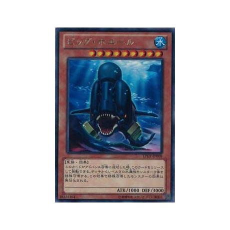 Big Whale - LTGY-JP008