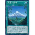 Mount Sylvania - LVAL-JP063