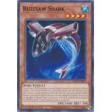 Buzzsaw Shark