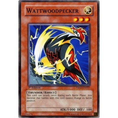 Wattwoodpecker - TSHD-EN027