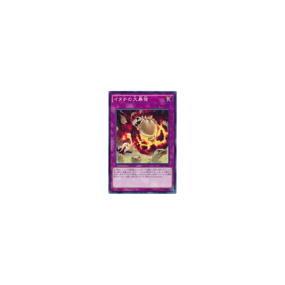 Ferret Firestorm - CORE-JP077