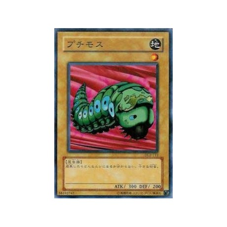 Petit Moth - DL2-111