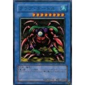Crab Turtle - DL1-053