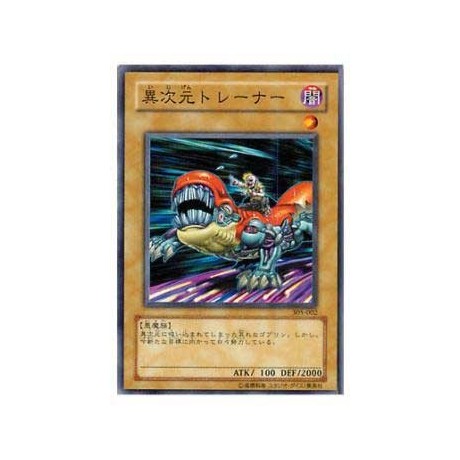 D.D. Trainer - 305-002