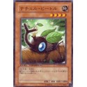 Naturia Beetle - DT03-JP007