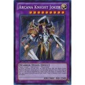 Arcana Knight Joker
