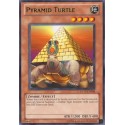 Pyramid Turtle