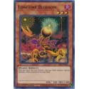 Lonefire Blossom