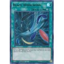 Black Whirlwind - BLAR-EN060