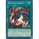 Red-Eyes Insight - LDS1-EN019