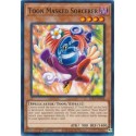 Toon Masked Sorcerer - LDS1-EN058