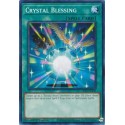 Crystal Blessing - LDS1-EN105