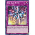 Red-Eyes Burn - DLCS-EN072