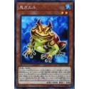 Swap Frog - RC03-JP003