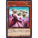 Rose Lover - DBSS-JP039