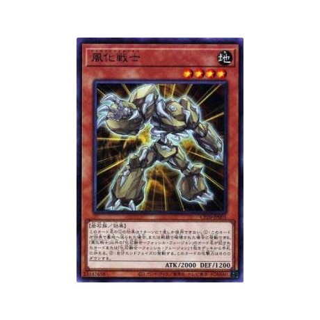 Weathering Soldier - CP20-JP005