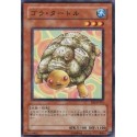 Gora Turtle  - BE2-JP215