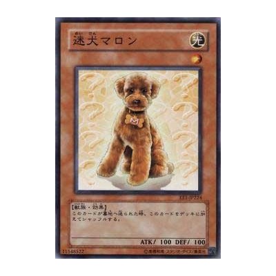 Outstanding Dog Marron - EE1-JP224