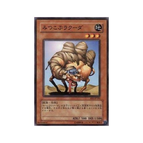 3-Hump Lacooda - EE2-JP183