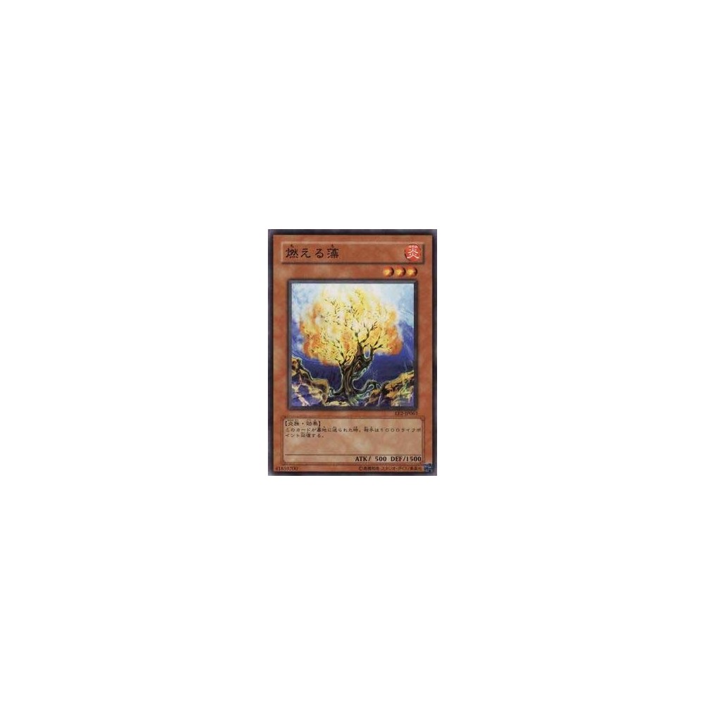 Burning Algae - EE2-JP063 Burning Algae - EE2-JP063
