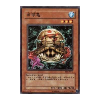 Don Turtle - EE2-JP072
