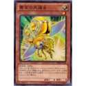 Golden Ladybug  - DE02-JP134