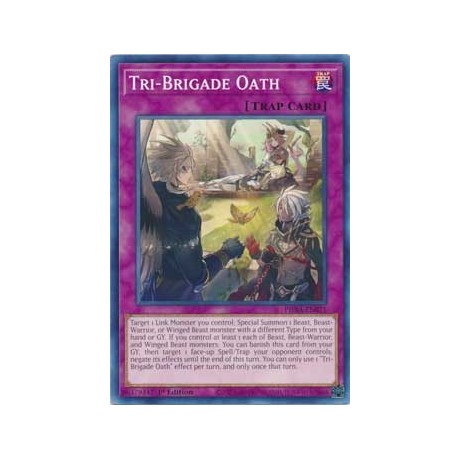 Tri-Brigade Oath - PHRA-EN071