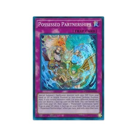 Possessed Partnerships - SDCH-EN028