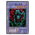 Rose Spectre of Dunn - VOL5-32485271