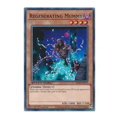 Regenerating Mummy - SBCB-EN177