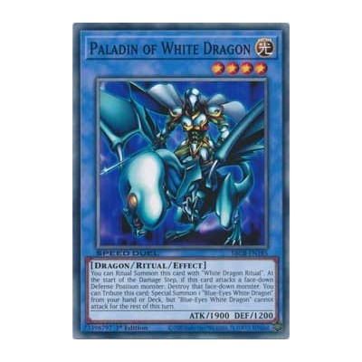 Paladin of White Dragon - SBCB-EN185