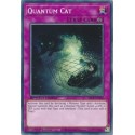 Quantum Cat - SBCB-EN200