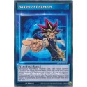Beasts of Phantom - SBCB-ENS14