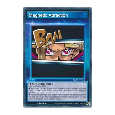 Magnetic Attraction - SBCB-ENS15