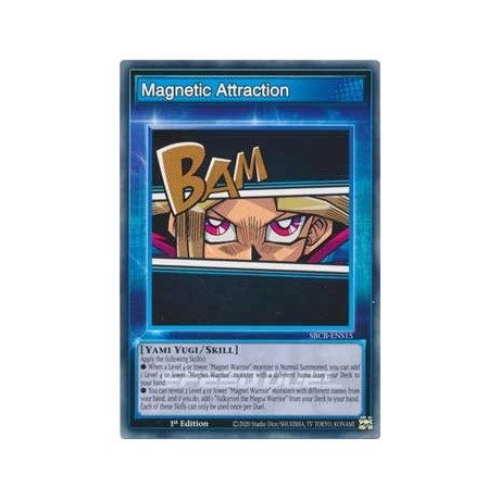 Magnetic Attraction - SBCB-ENS15