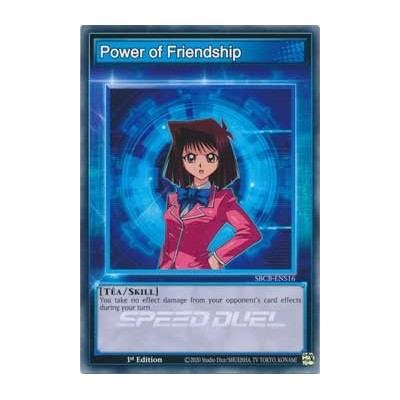 Power of Friendship - SBCB-ENS16