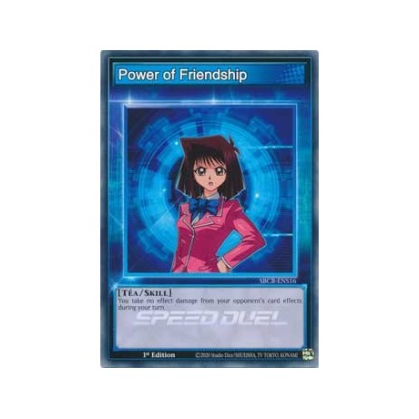 Power of Friendship - SBCB-ENS16