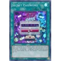 Secret Password - GEIM-EN020