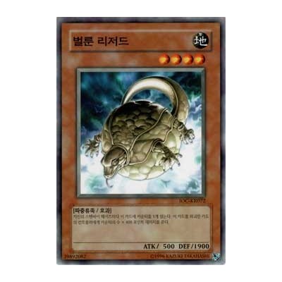 Balloon Lizard - IOC-KR072