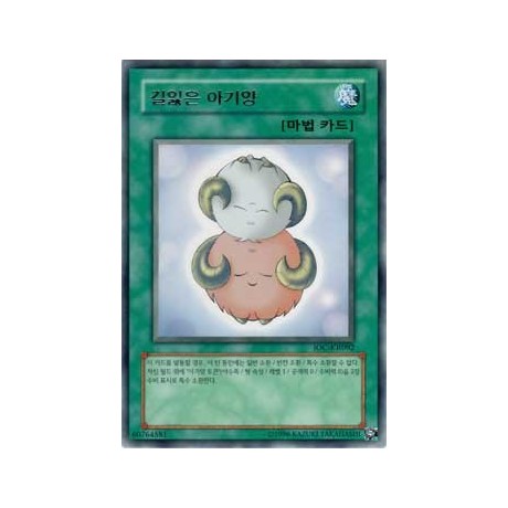 Stray Lambs - IOC-KR092